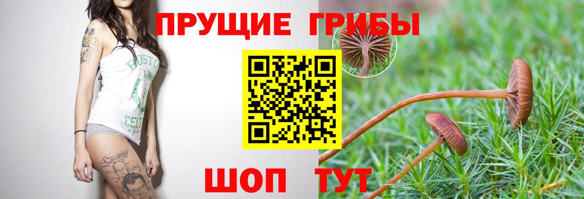 Псилоцибиновые грибы Magic Shrooms  Вход с VPN  Семёнов  Галлюциногенные грибы Cubensis 